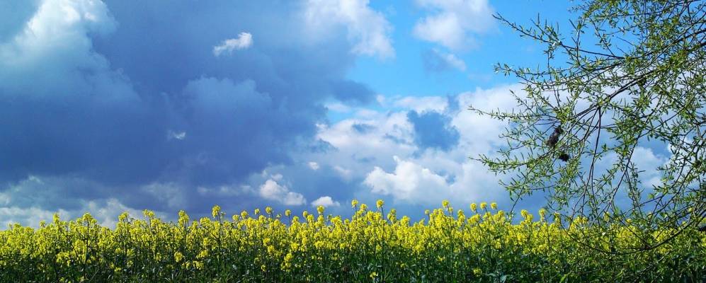 
            Фотография Аллхаллоуса