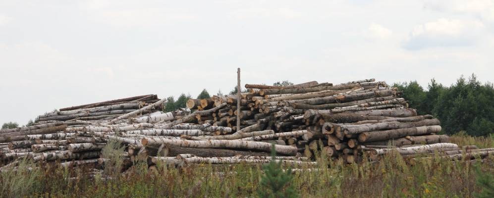 
            Фотография Першково