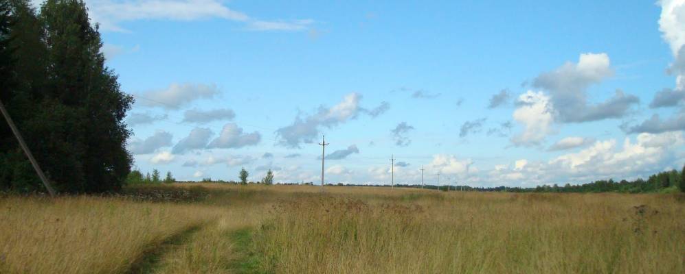 
            Фотография Ивановского