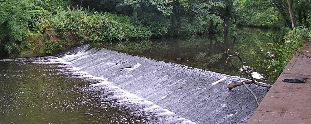 
            Фотография Корби