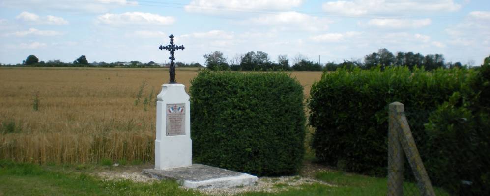 
            Фотография Ардента