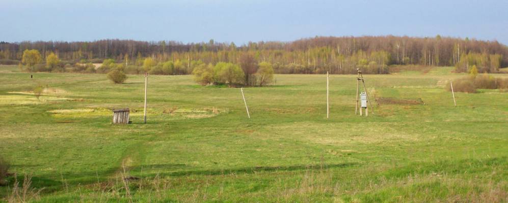 
            Фотография Синявки