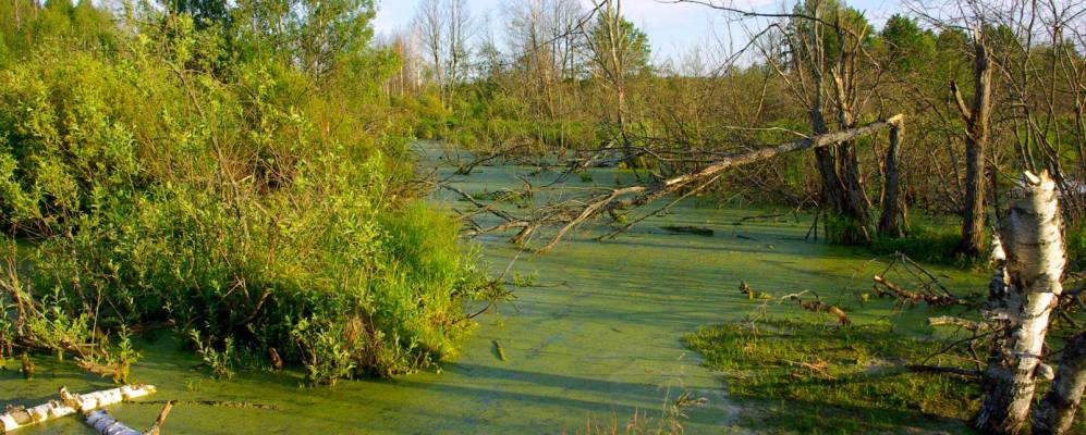 
            Фотография Черкасово