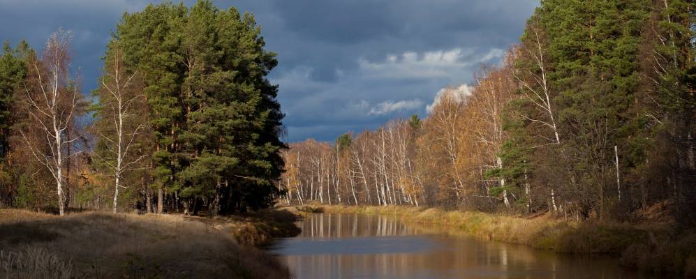 Фотография Шевернихи