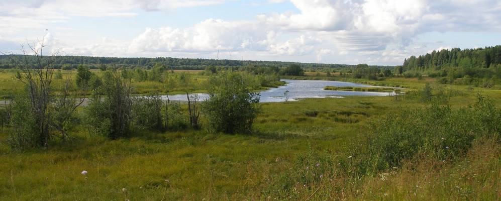 
            Фотография Низовья