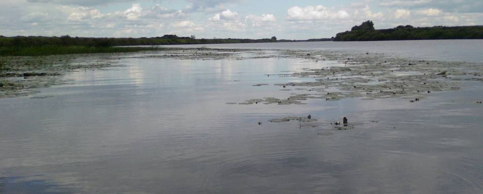 
            Фотография Подуровки