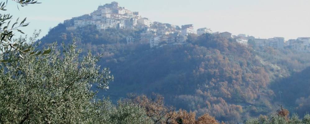 
            Фотография Казоли