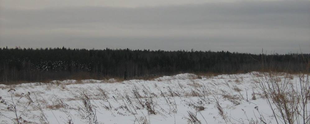 
            Фотография Вологина