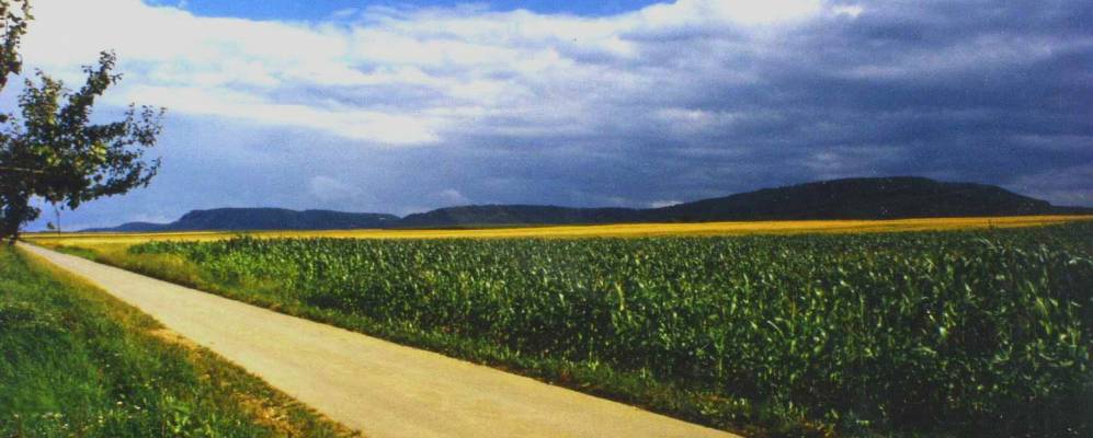 
            Фотография Болль