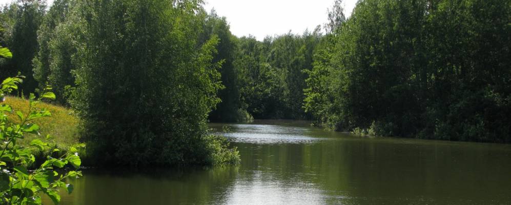 
            Фотография Игнатово