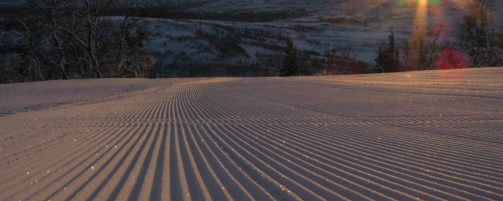 Фотография Сторлиена