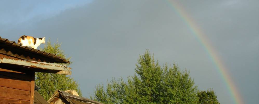 
            Фотография Лопарево