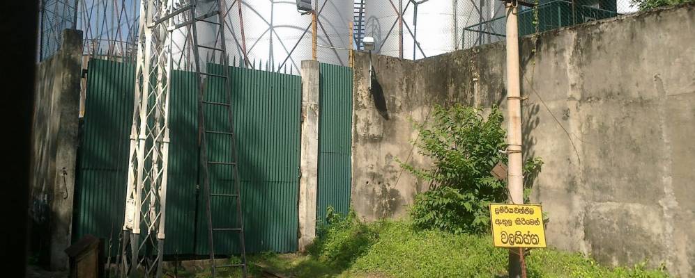 
            Фотография Махо