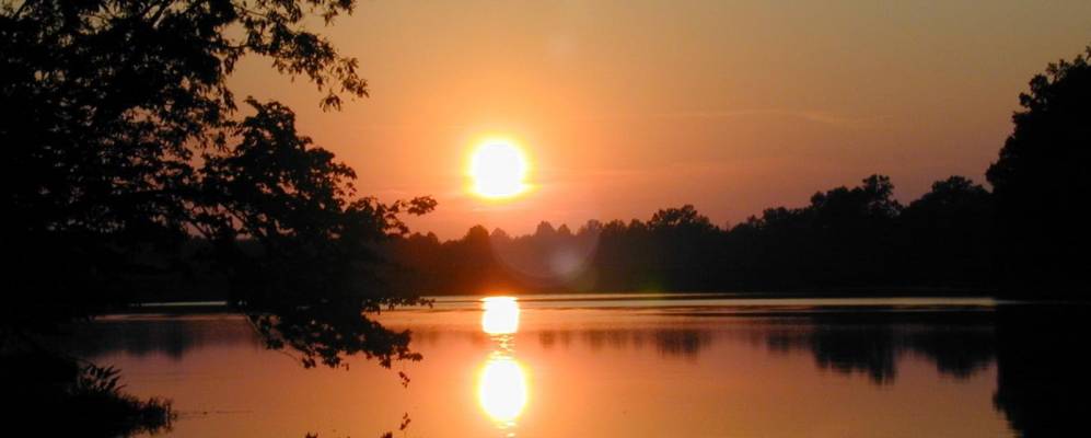 
            Фотография Джазонвилла