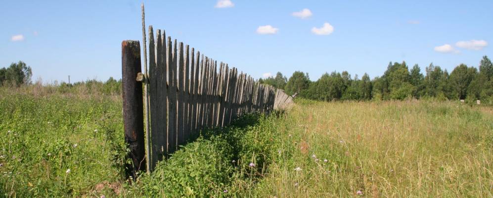 
            Фотография Иструбища