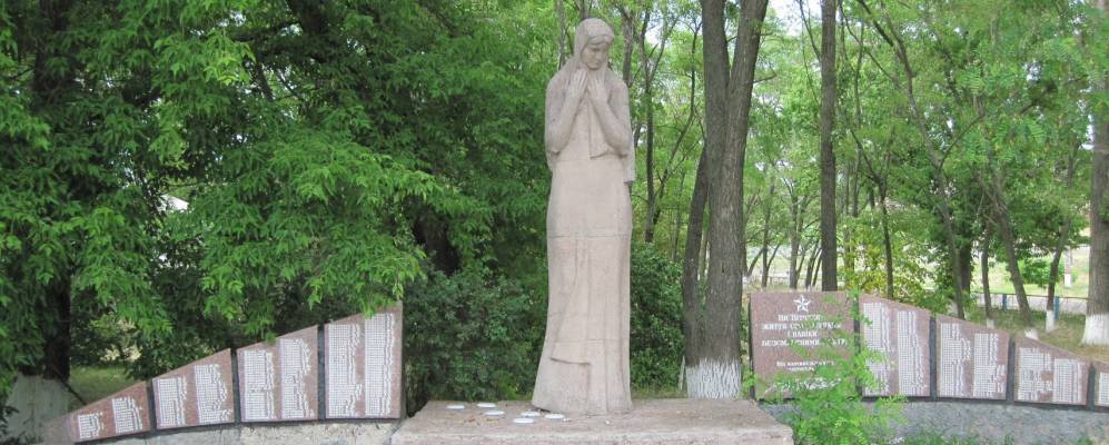 
            Фотография Сошникова