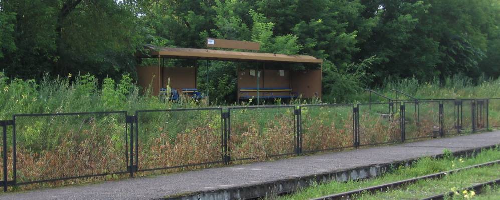 Фотография Салатья