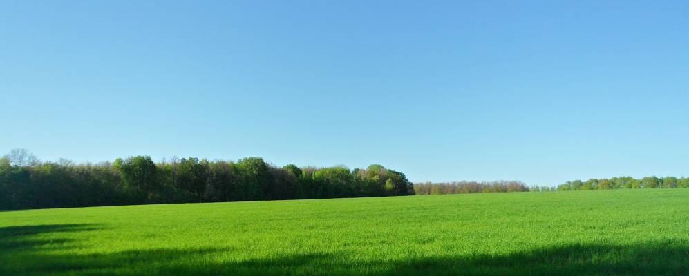 Фотография Кутасовки