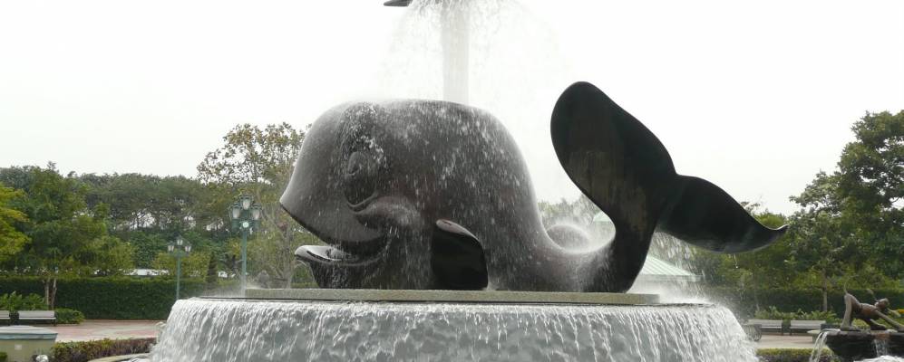 
            Фотография Хайкоу