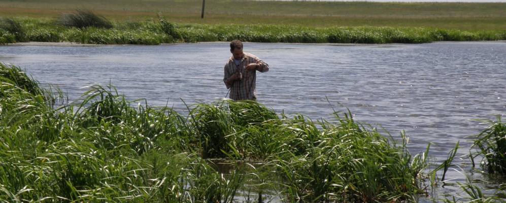 
            Фотография Малого Орешкина