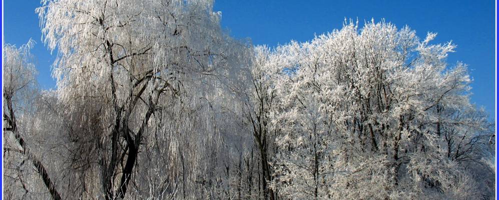 
            Фотография Букачевской Слободы