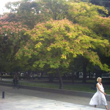 Стара-Загора