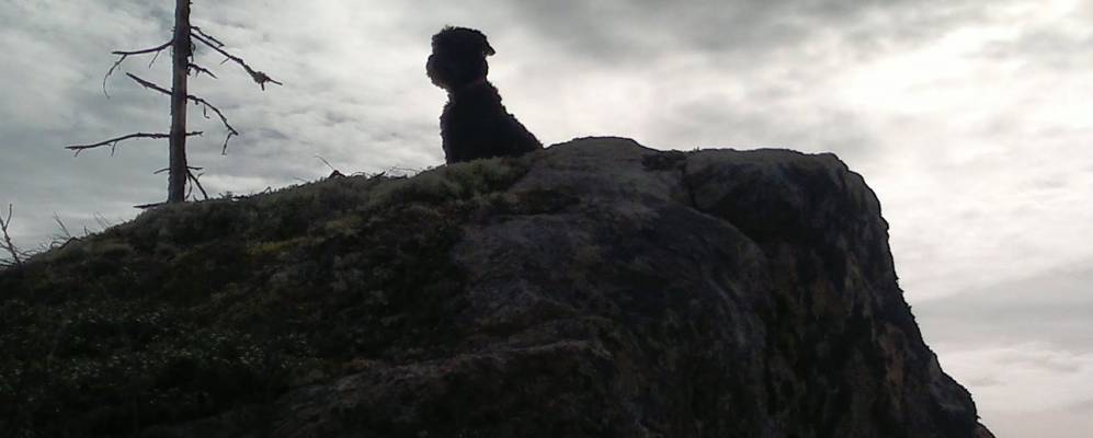 Фотография Skålsjö