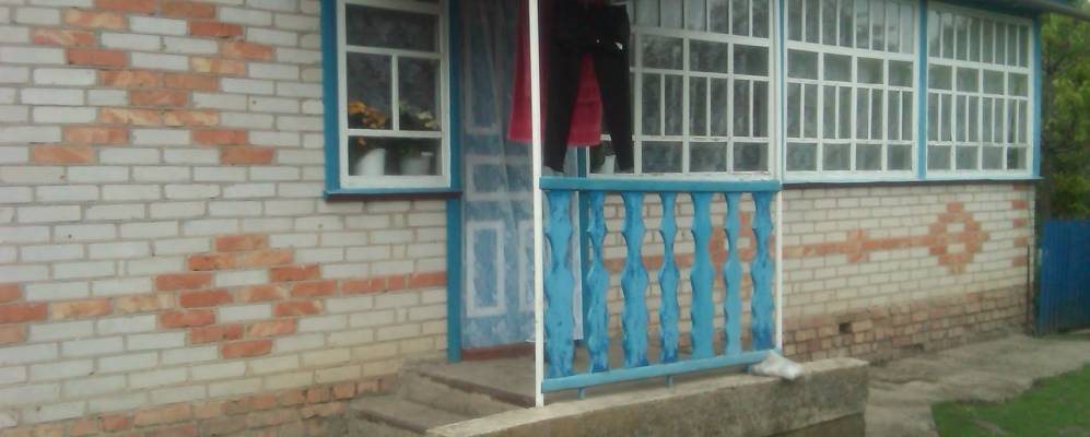 
            Фотография Саи