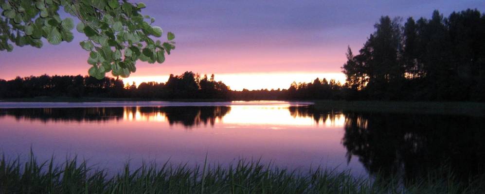 Фотография Мидино