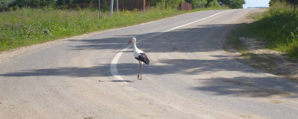 
            Фотография Дьяково