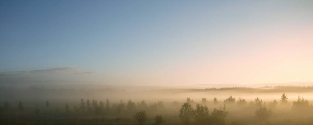 
            Фотография Орги