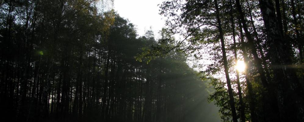 Фотография Амелино