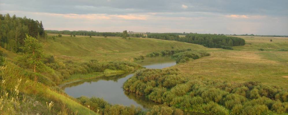 
            Фотография Никоняты