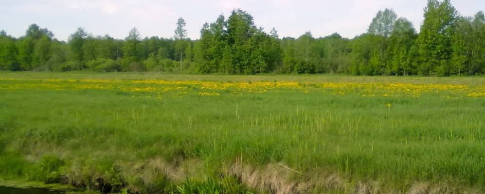 
            Фотография Мыслова Рога