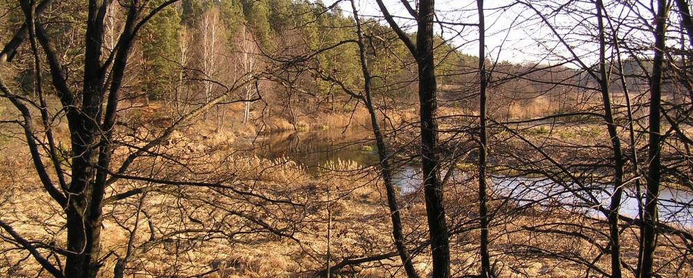 Фотография Рудни-Каменки