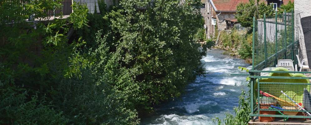 
            Фотография Аллевара