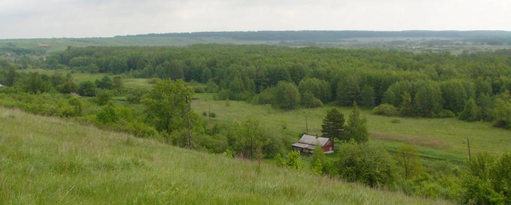 
            Фотография Красного