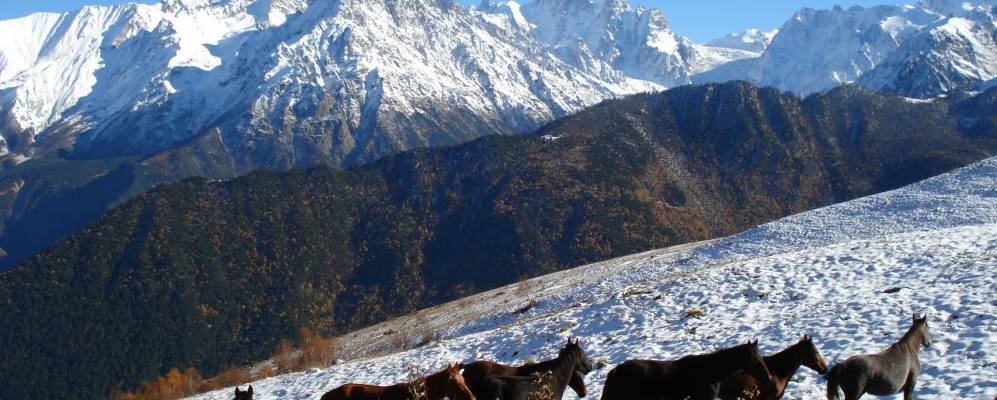 
            Фотография Одола