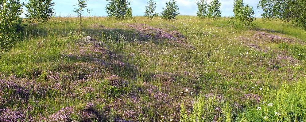 
            Фотография Поветкино