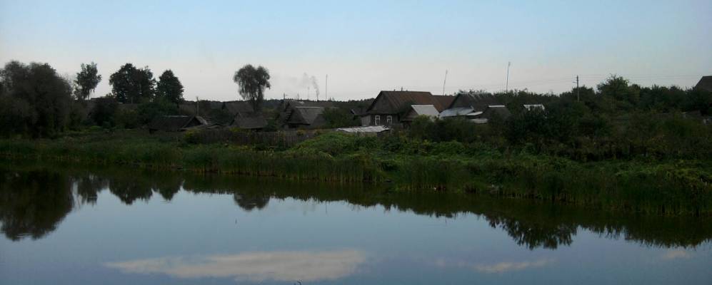 
            Фотография Погодицы