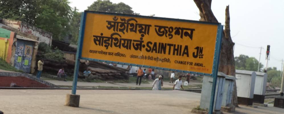 
            Фотография Сайнтии