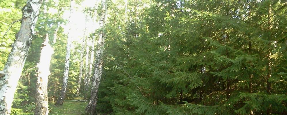 
            Фотография Аксаковки