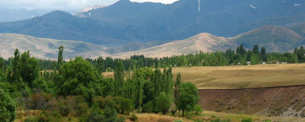 Фотография Тасарыка