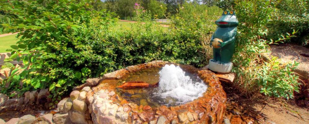 
            Фотография Гадебуша