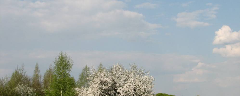 Фотография Вороновщины