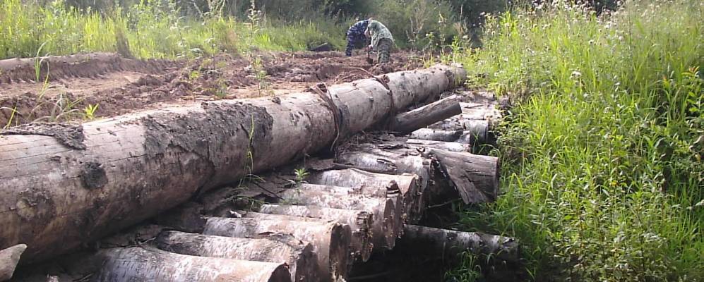 Фотография Средней Гривы