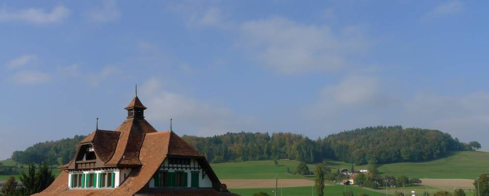 
            Фотография Белфаукса