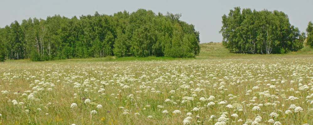 
            Фотография Воздвиженки