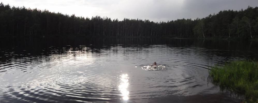 
            Фотография Мишуково