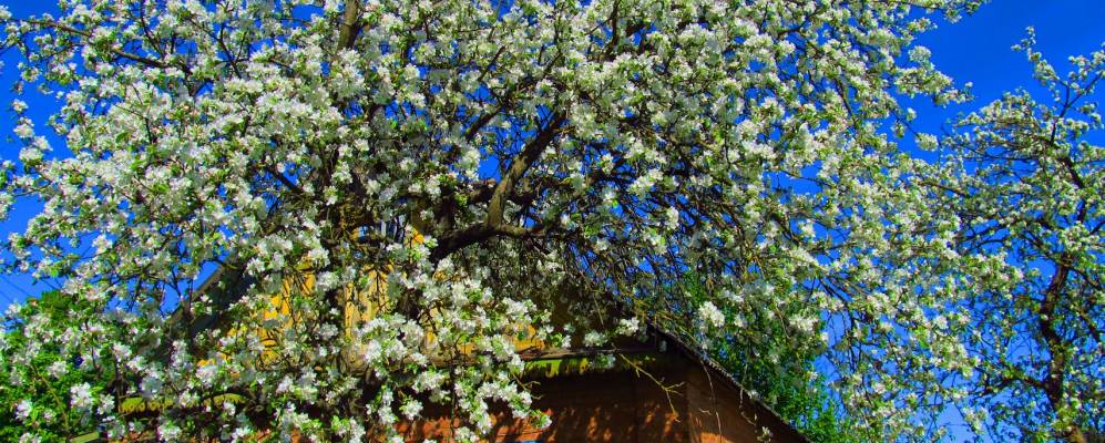 Фотография Люшева